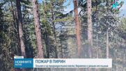 Пожар избухна в Благоевградско след вчерашната буря в района