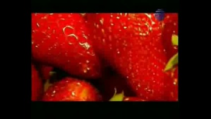 Gergana - Una Pasion.avi