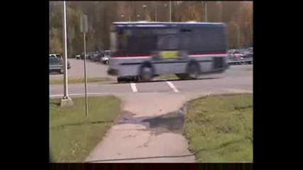 Момче ляга под автобус...смях