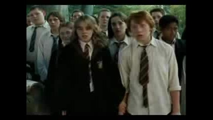 Hermione and Ron - High