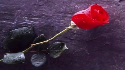 Tom Jones - Rainin' In My Heart - Prevod