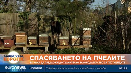 ЕС отказва да ограничи синтетичните пестициди, за да спаси популацията на пчели в Европа
