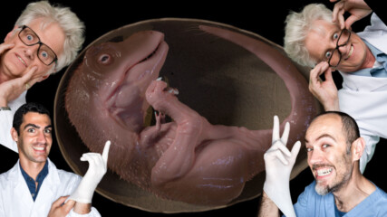 Учени откриха ембрион на динозавър 😮