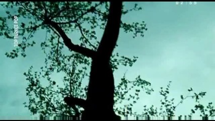 Yalin - Kucucugum 