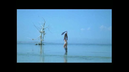 Pussycat Dolls - I Hate This Part.flv