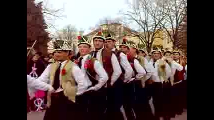 коледари 2008