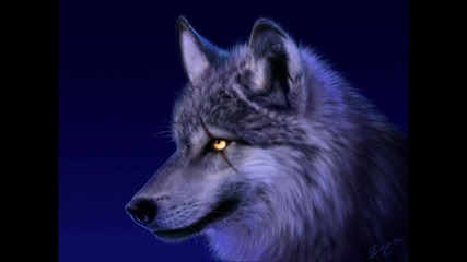 David Guetta feat Sia Falling to pieces(she Wolf)