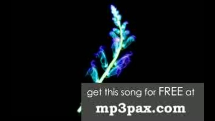 Steve ft. Will I Am - Im In The House (club Clean Vs. Lmfao Remix) 