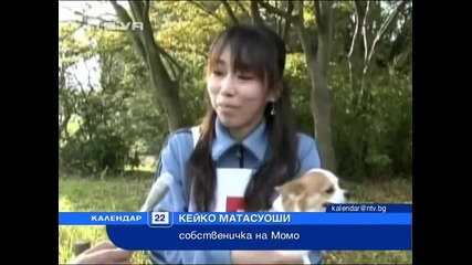 Полицейско куче порода Чихуахуа 