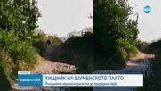 Реална опасност за хората: BG-Alert се активира заради хищника в Шумен