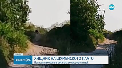 Реална опасност за хората: BG-Alert се активира заради хищника в Шумен