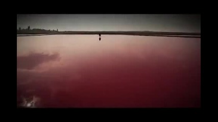 Графа - Никой