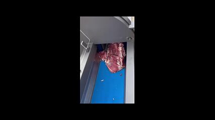 Професионална машина за рязане на месо / High Speed Slicer Cutting Machine