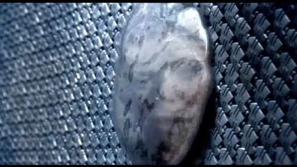 Старгейт Sg-1 / Stargate Sg-1 /сезон 8 eпизод 01-02