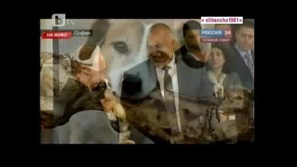 Смях от Изминалата Седмица 