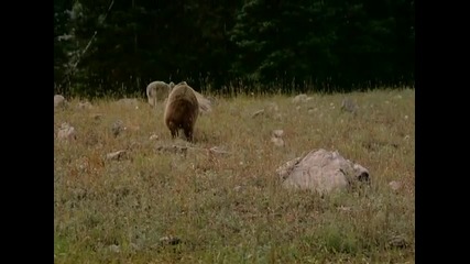 Nickelback - Never Gonna Be Alone [high Quality]