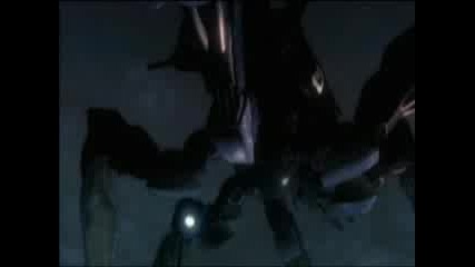 Amv Apple Seed