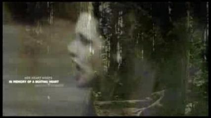 New Moon - No Mercy For Her