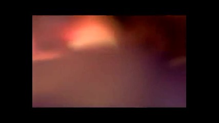 Tiesto - Elements of Life xvid 
