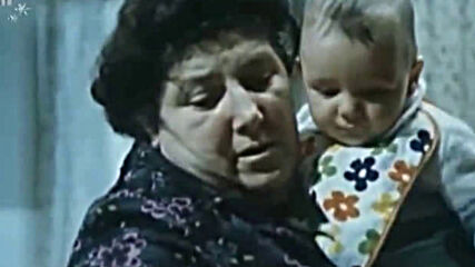 Войната на таралежите, 1979 г.