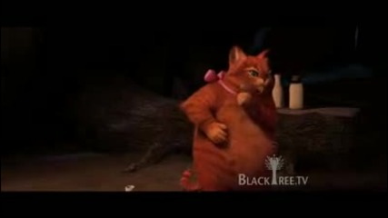 The Puss Got Fat Shrek Forever After