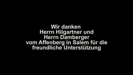 Equilibrium „affeninsel Video Contest! 