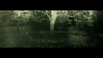 Moonbeam pres. A S Y S - Acid Glitch ( Official Video H D )