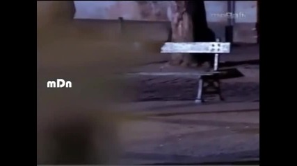 Cobras & Lagartos 27-3