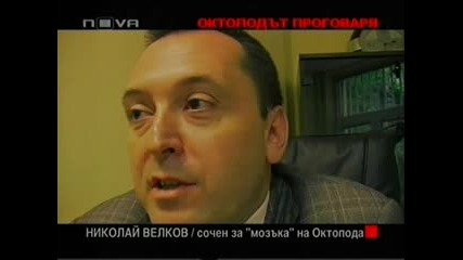 ( О. Ф ) 29.05.10 Мозъка на Октопода адвокат Николай Велков Част 3 