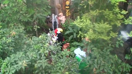 Remi Gaillard - Tarzan 