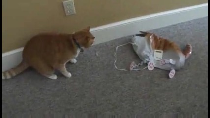 Котката убиец