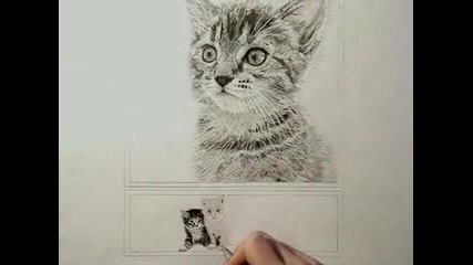 Рисуване На Котки 