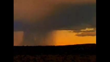 Sting - Desert Rose