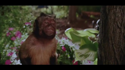 The Zookeeper (2011) - Трейлър 