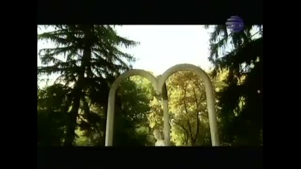 Елена - Нямаш право на любов