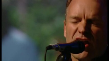 Sting 01