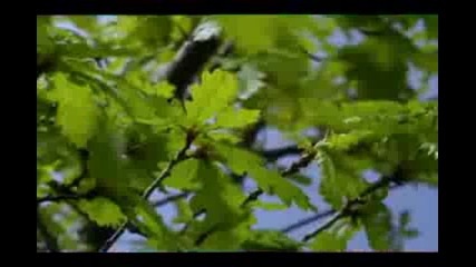  Planet Earth Music Video 