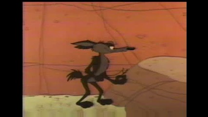 Road Runner серия:12
