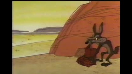 Road Runner - 12 - Hook, Line & Stinker (1958)