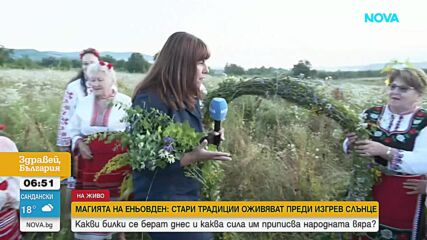 Магията на Еньовден: Когато слънцето „играе“, а билките лекуват 77 болести и половина