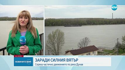 Ураганен вятър в Русе, поривите достигнаха 90 км/ч