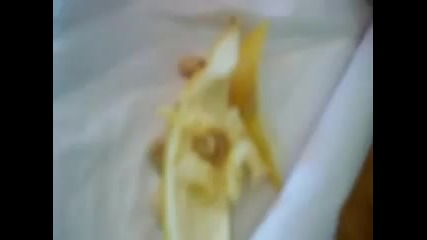 eating lemon skin