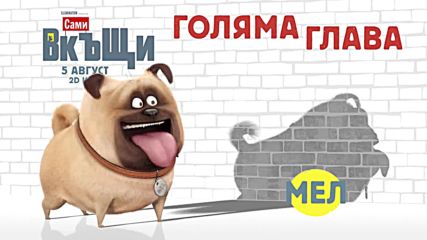 "Сами вкъщи" - Мел