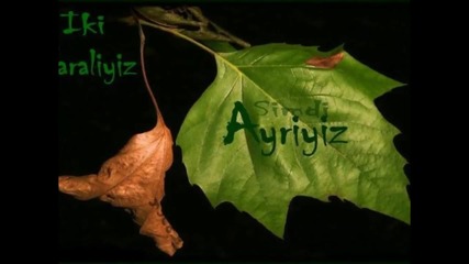 Cemre ve Kuzey
