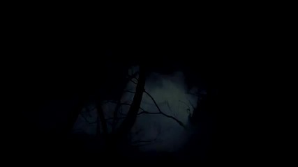The vampire diaries season 4