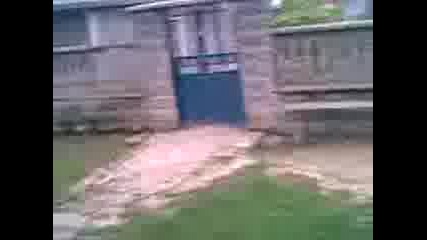 Magyosnika Suni