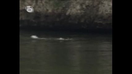 Survivor 2: Експeдиция Робинзон:25.09.2007