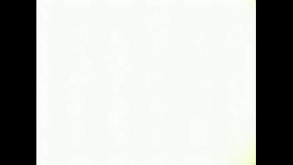 [sfs] Yu Yu Hakusho - 29 bg subs