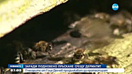 Пчеларите от Гоце Делчев – отново на протест