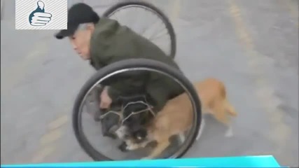 Респект! Вижте как това куче помага на стопанина си, който е инвалид